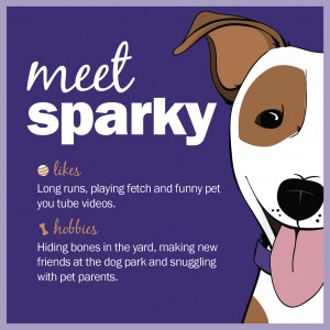 Meet Sparky