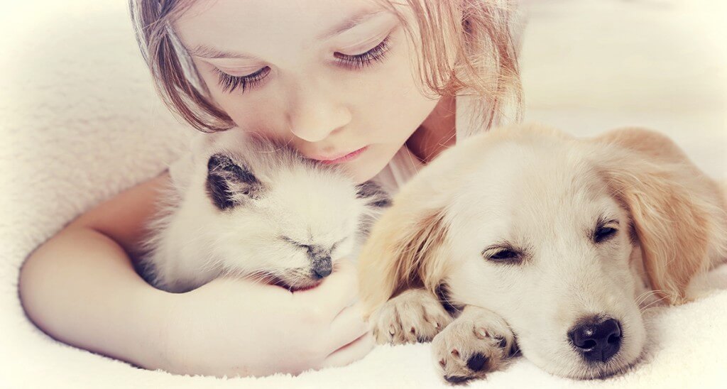 little cute girl affectionately hugging  kitten and Puppy