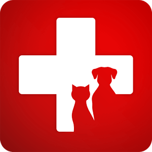 first aid for pets