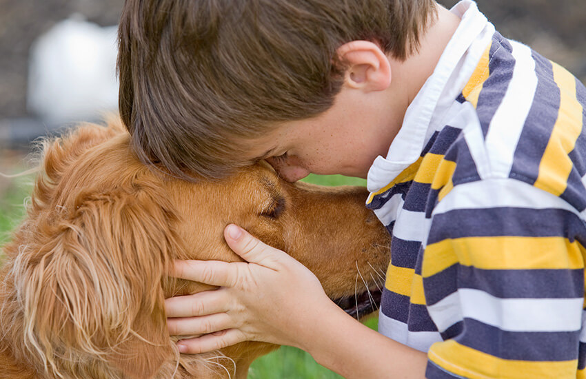 boy hugging dog golden retriever