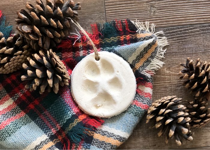 round salt dough ornament with a paw print on it surrounded by pinecones