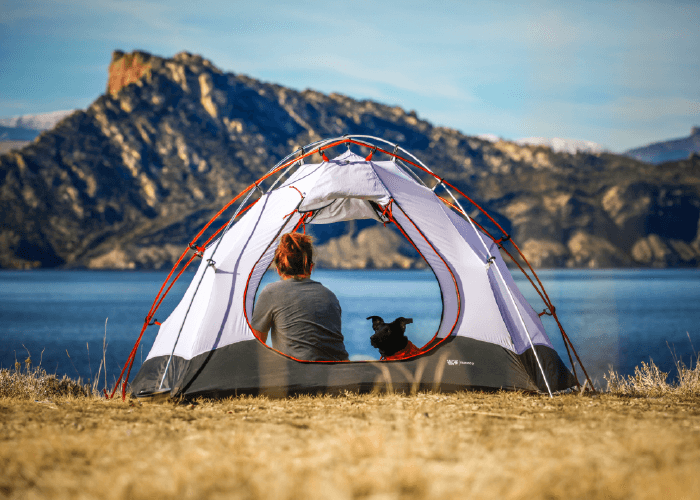 Picture of a woman and dog in a tent overlooking beautiful scenery. How to Take Your Pet Camping